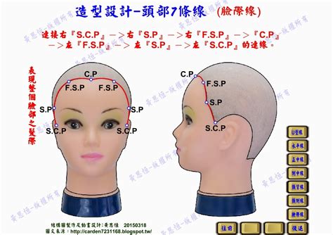 頭部七條基準線中側頭線是